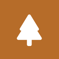 Lumber