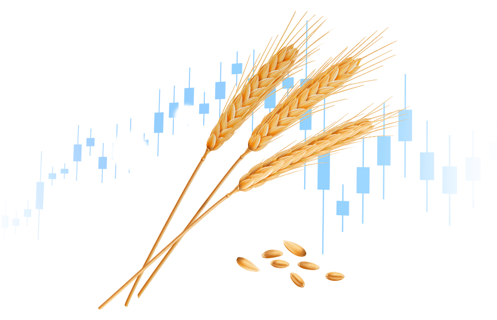 An illustration of wheat as a commodity An illustration of wheat as a commodity