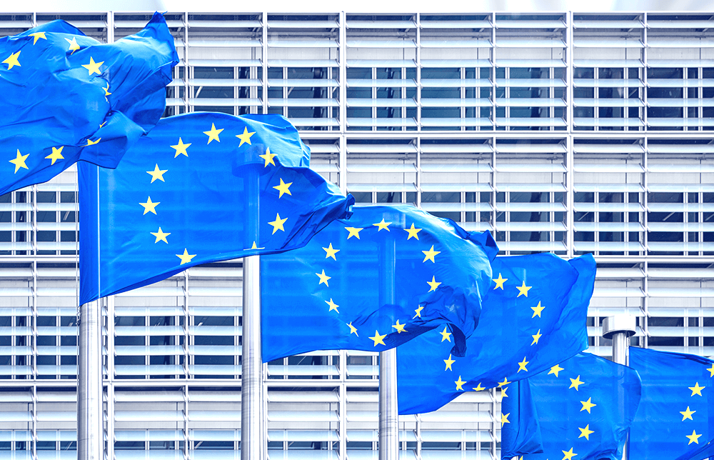 An image of the European Union flag